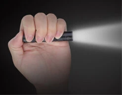 Fenix LED Lampe LD02 -NatureGear Verkaufsgeschäft FEld02 c